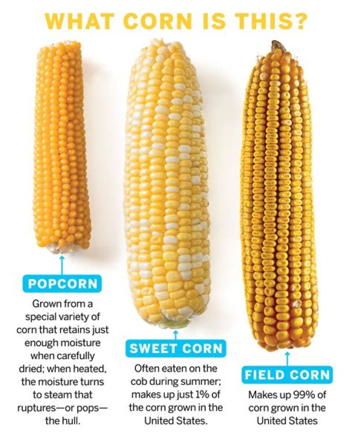 How much corn is produced in the US?