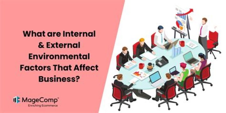 What are external factors that affect an organization?