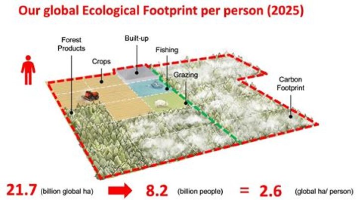 What goes into ecological footprint?