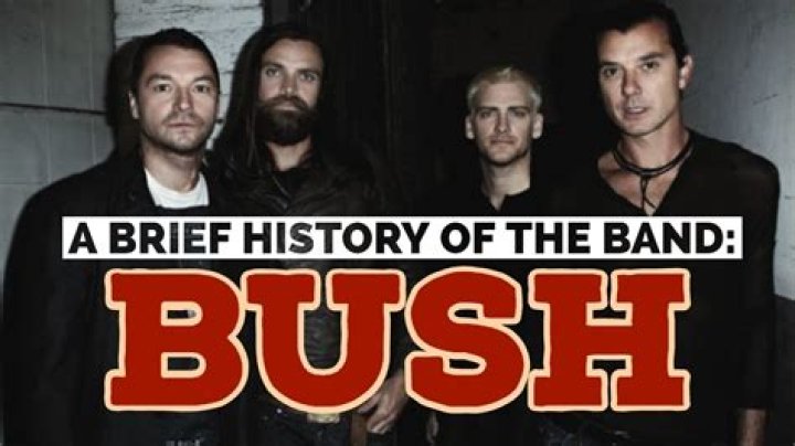 Why is the band Bush called Bush?